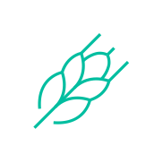 Do siewu po pszenicy